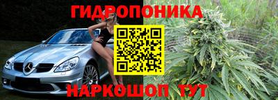 СК Гусь-Хрустальный